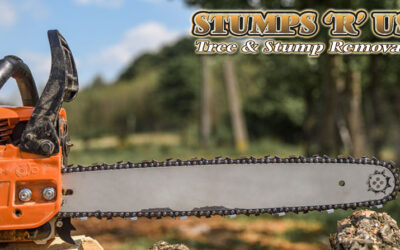 Tree Removal Service in Strathroy (Stump Grinding Too!)