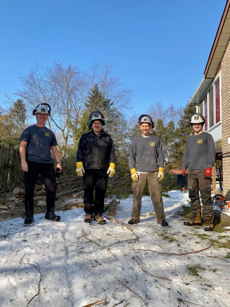 Meet the Tree Removal Team