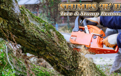 11 Tips to Protect Your Trees From Storm Damage