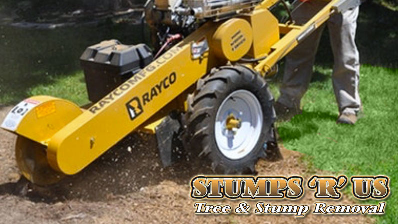 Stump removal vs Stump grinding