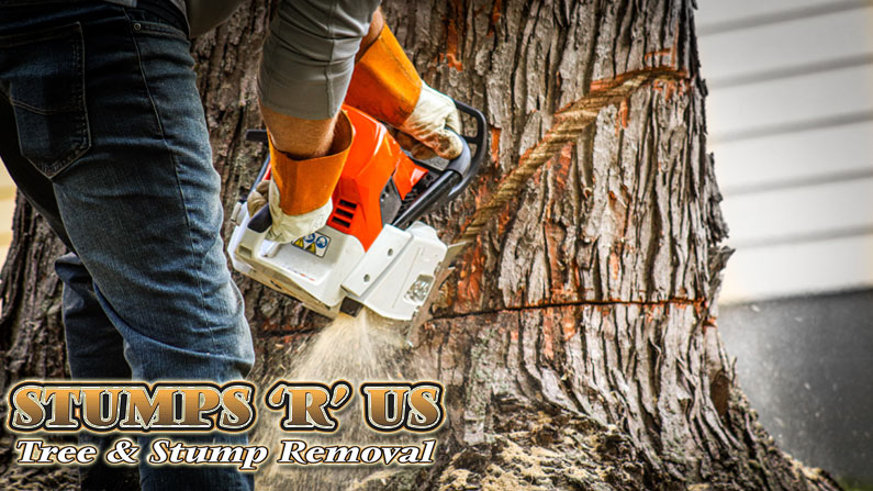 Professional Tree Services Thamesford Ontario